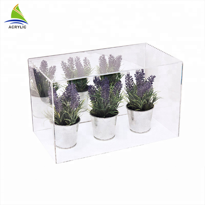 Persegi Modern Akrilik Showcase Tampilan Acrylic Houseplant Box Kerataan